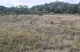 Tirane For Sale Land  Near Equos Resort, Mullet, Tirane Building Plot toke per agroturizem investim